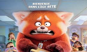 Âge bête.jpg